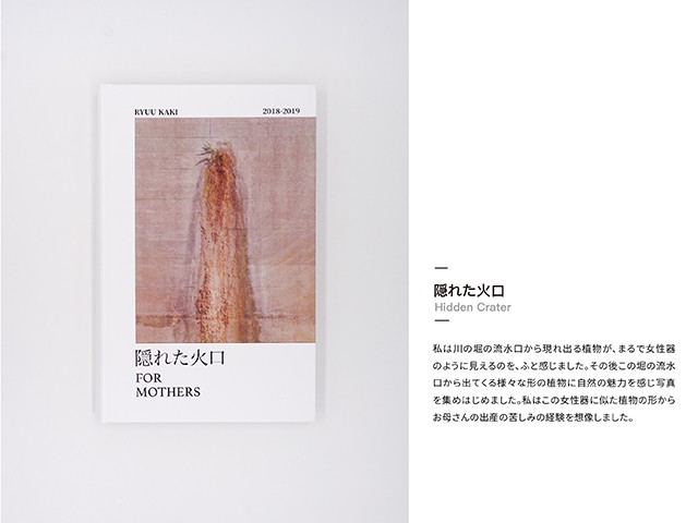 『見立てによる隠された社会現象の可視化』